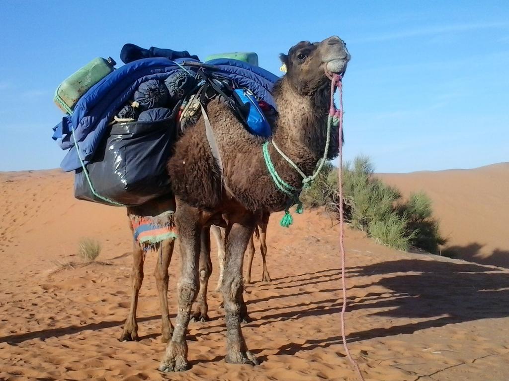 Bivouac Erg Znaigui Otel Merzouga Dış mekan fotoğraf